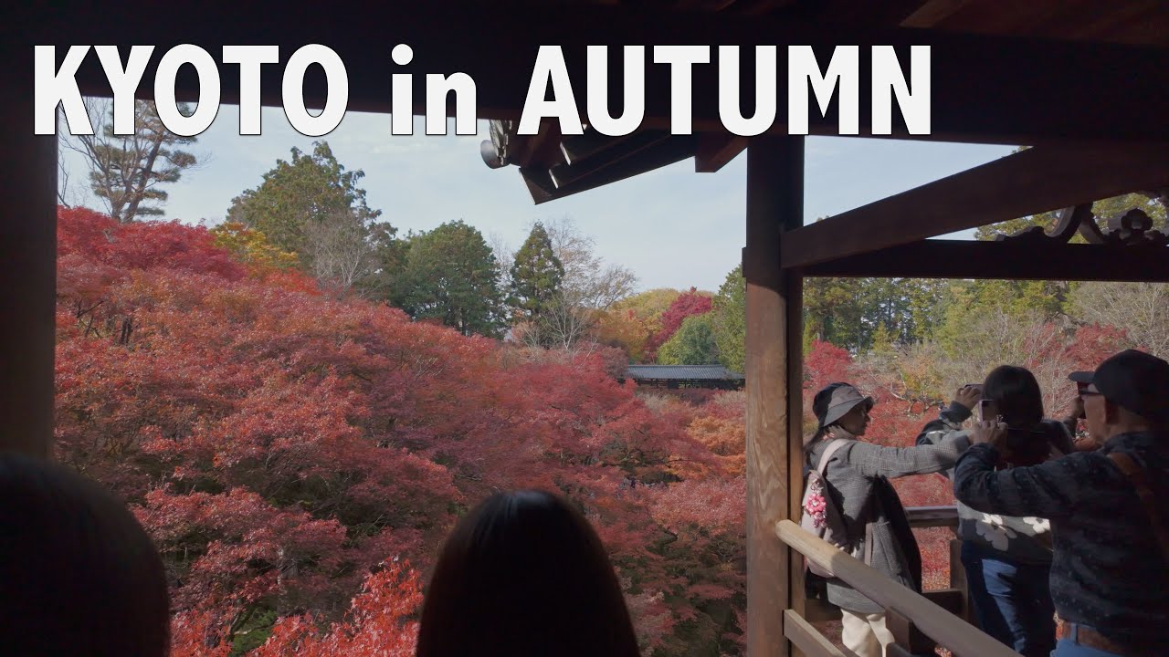 Kyoto’s Autumn | Peak Fall Colors at Tofuku-ji