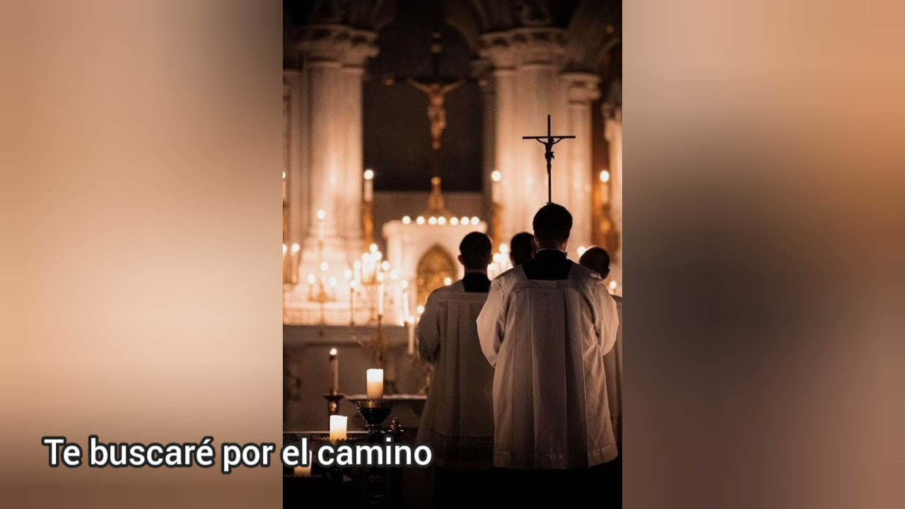 Te buscaré por el camino