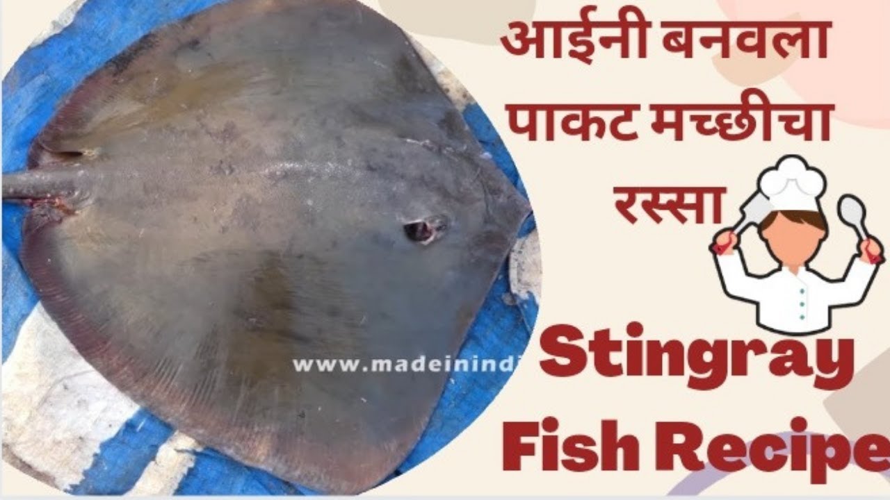 पाकट मच्छीचा रस्सा | Stingray fish recipes  Fish Recipe | Seafood