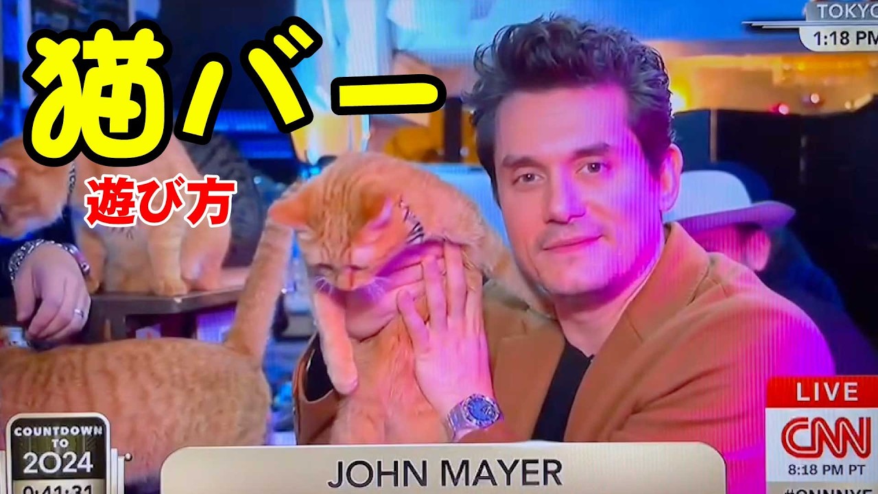 【全米に衝撃】CNNで生中継！新宿歌舞伎町の「猫バー」完全ガイド｜職業かわいい〜GONZOちゃんねる 〜