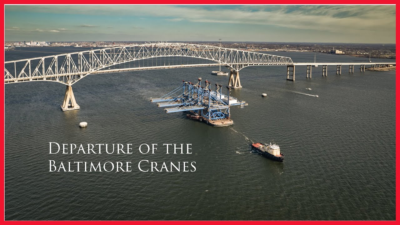 Departure of the Cranes - Drone Footage