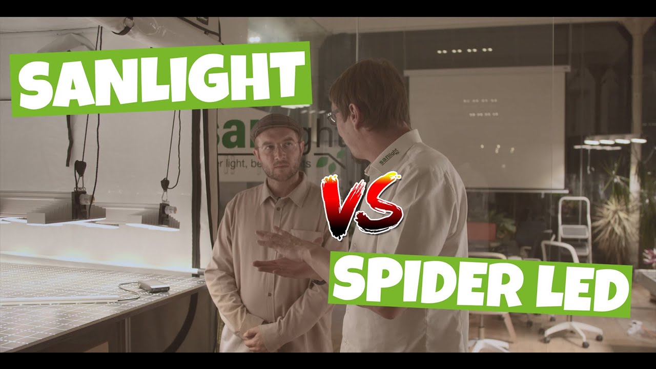 Warum benutzt SanLight LED zwei Lampen ? | Vergleich mit anderen Pflanzen LEDs | Lichtverteilung