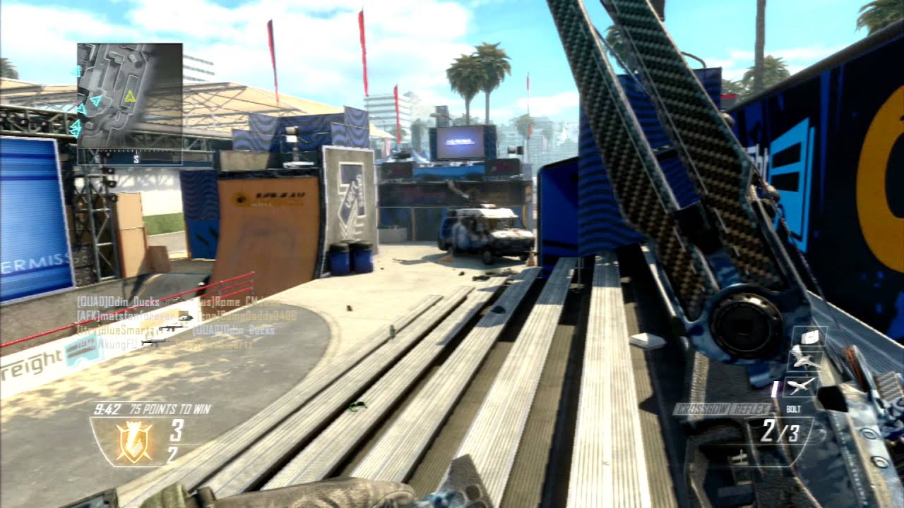 [BO2 Clips]: Can I Have My Camo Please...