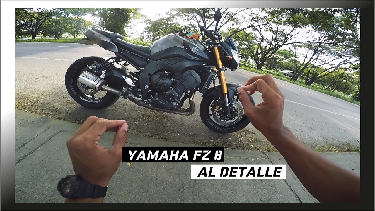 YAMAHA FZ 8 AL DETALLE - Marlon Moss