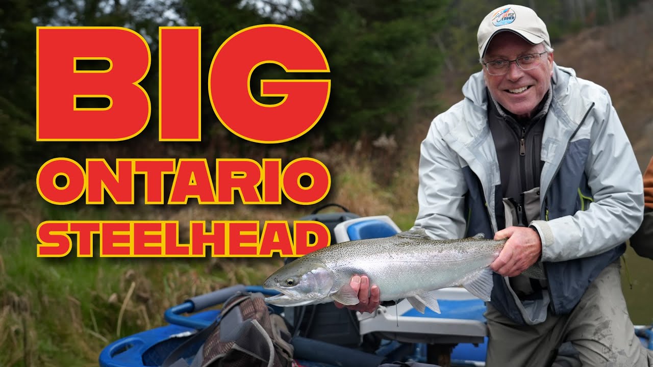 Ontario Steelhead  with A Perfect Drift