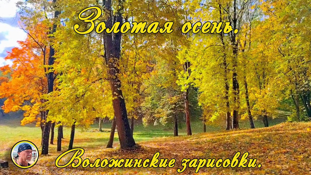 Воложинские зарисовки. Золотая осень.