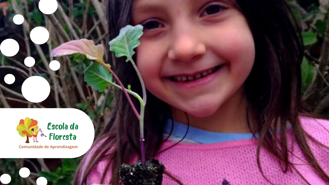 Por uma Nova Educação - Comunidade de Aprendizagem Escola da Floresta