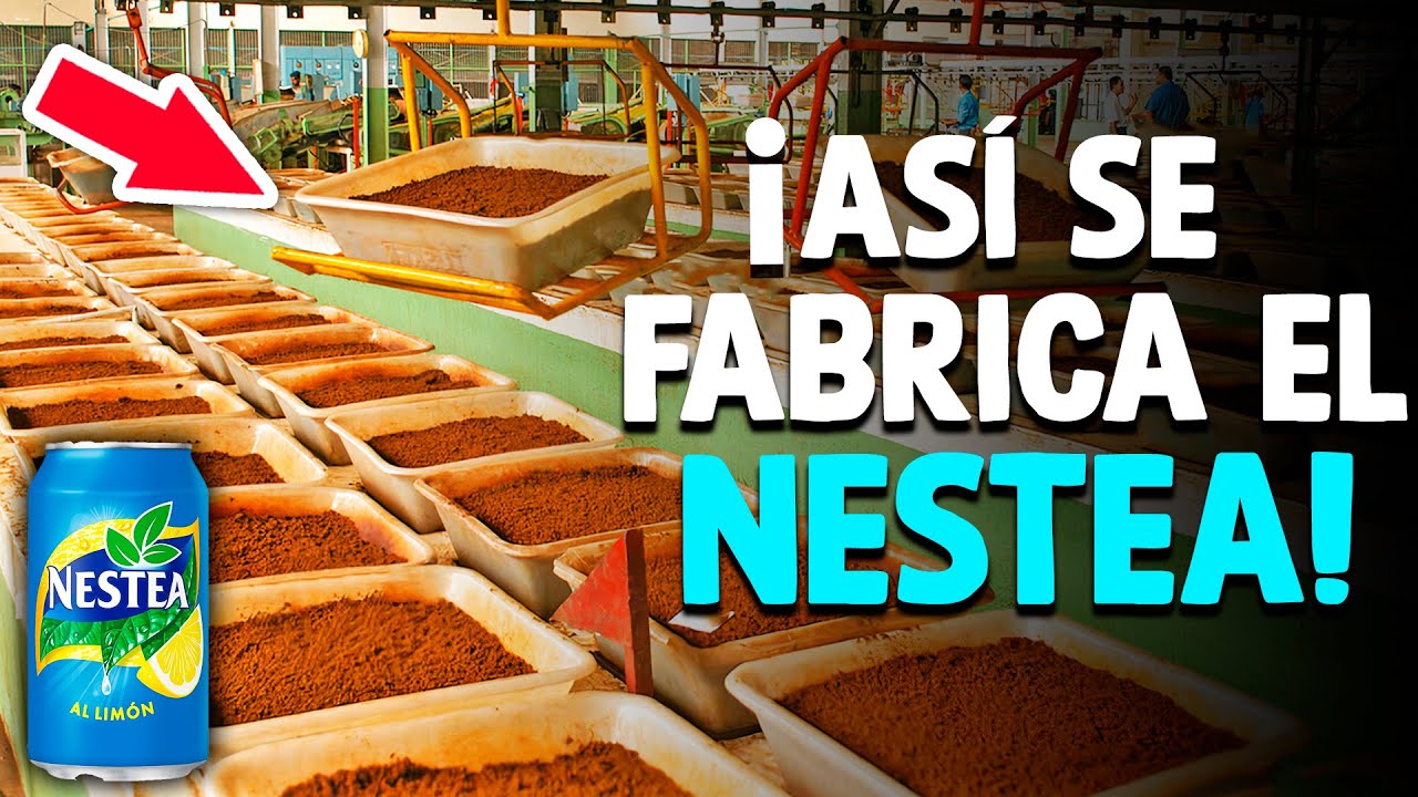 Cómo Se Fabrica Nestea? [Proceso En Fábrica]