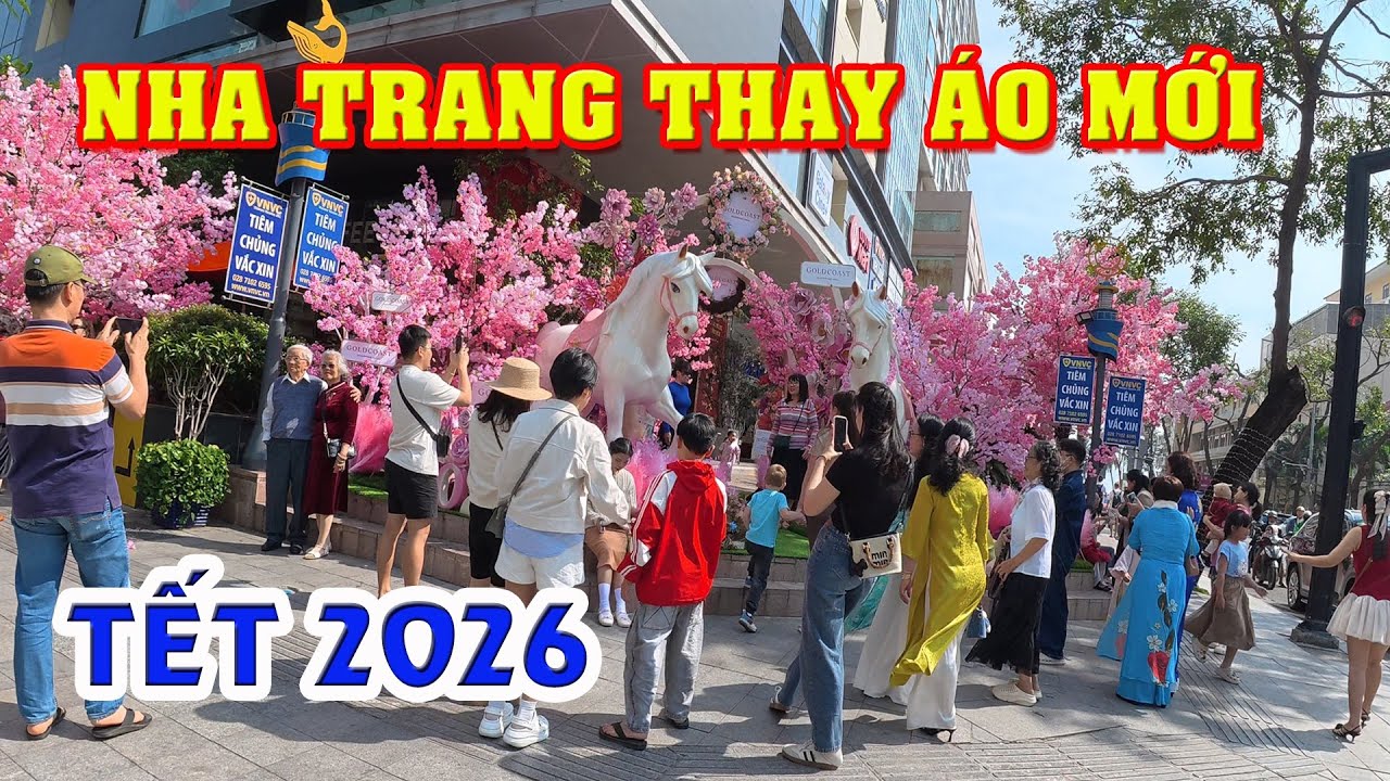 Tết 2026: Nha Trang Bắt Đầu Thay Màu Áo Mới Đón Xuân