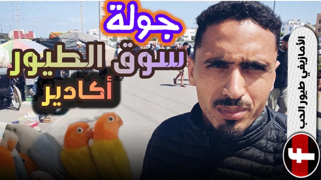اجيو تشوفو 🤯 اشواقع في سوق الطيور💯 #أكادير 💢الثمن💥 مناسبة جداً🔥 بيروش مجود😱