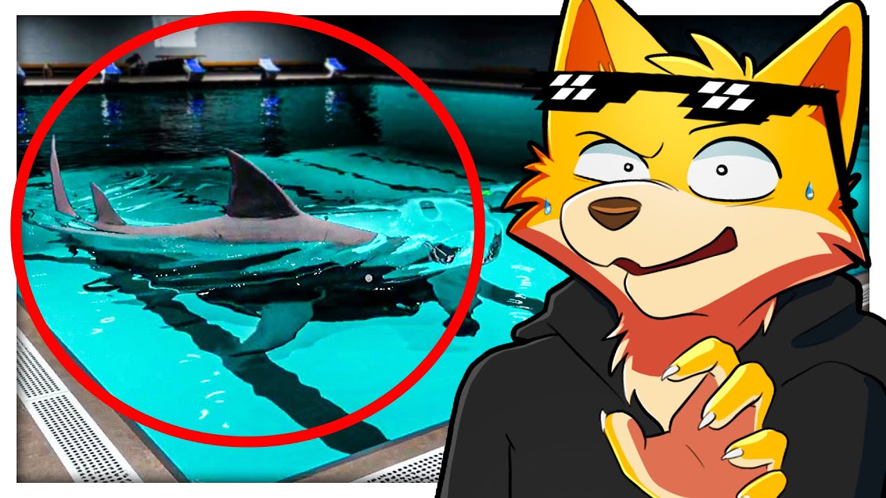 TALASSOFOBICO Affronta SQUALI GIGANTI in una PISCINA.