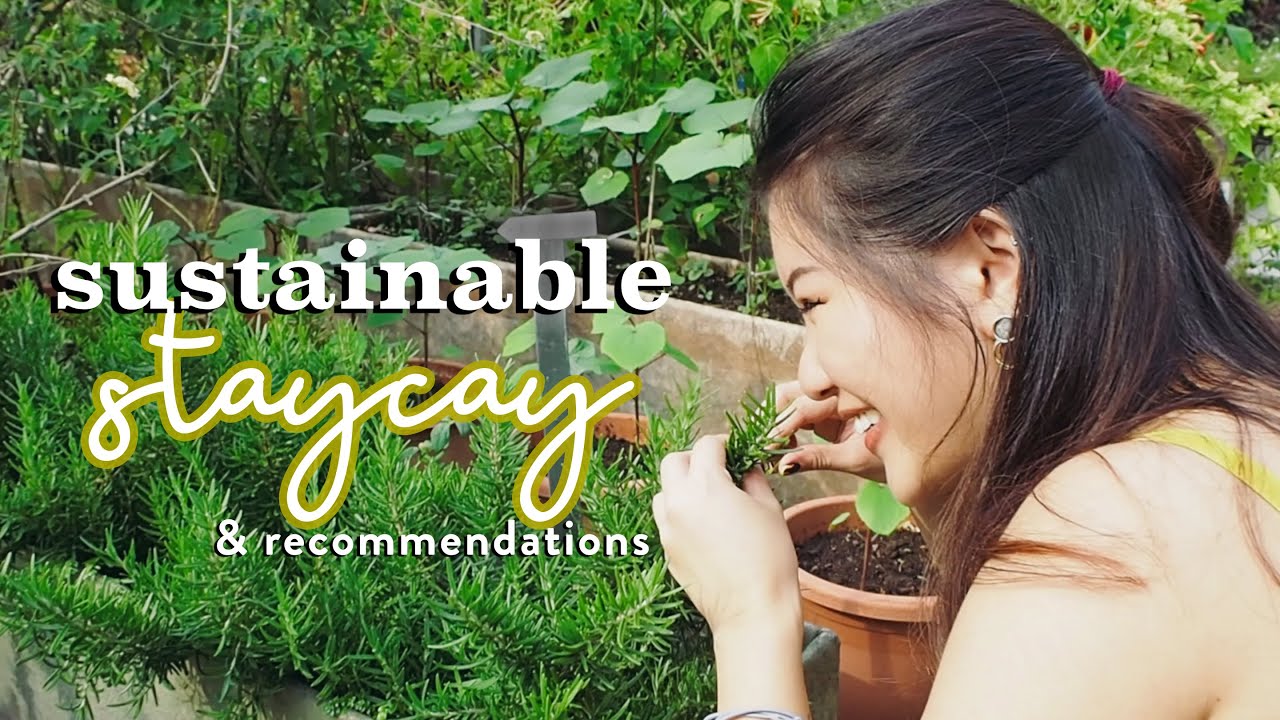 I SPEND MY ENTIRE STAYCAY BEING SUSTAINABLE
