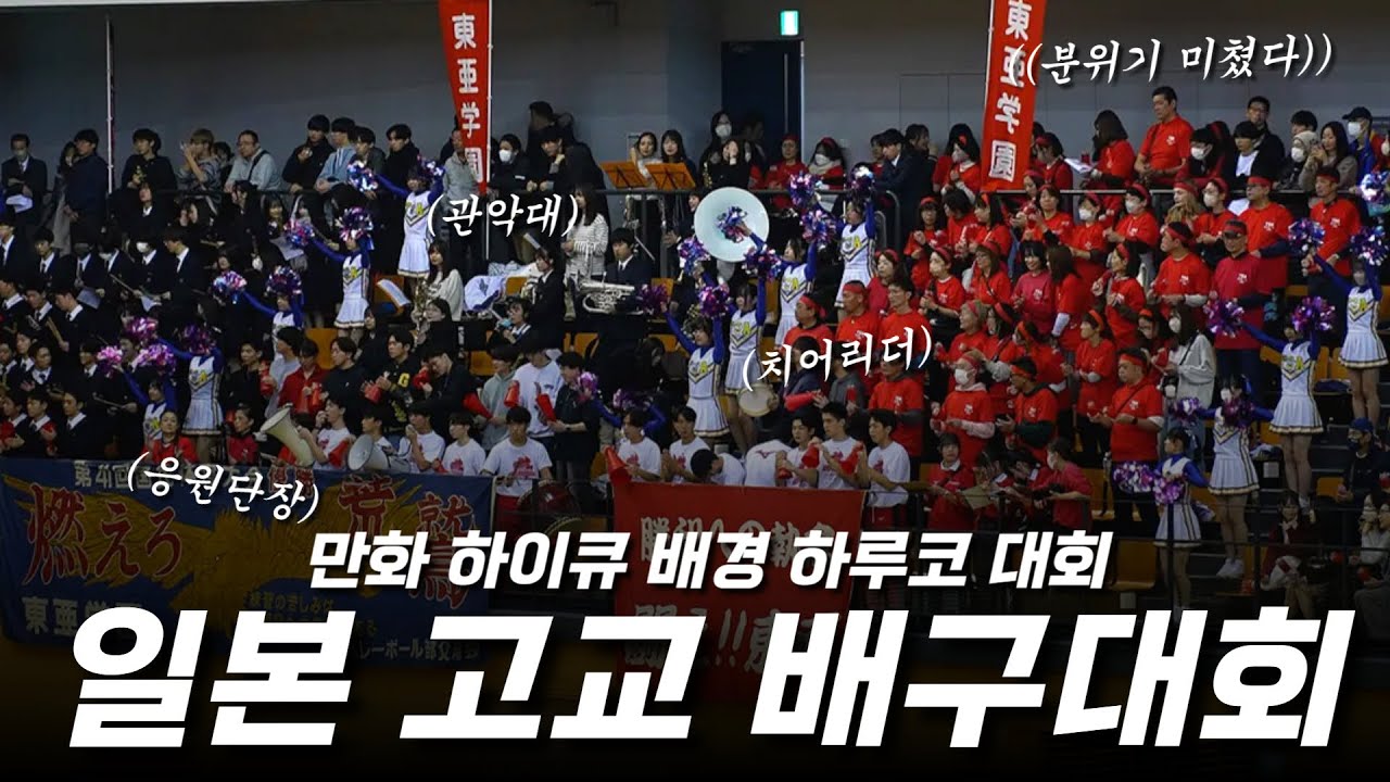 미쳐버린 분위기의 일본 고등학교 전국 배구대회에 다녀왔습니다 (만화 하이큐의 배경 하루코 직관)