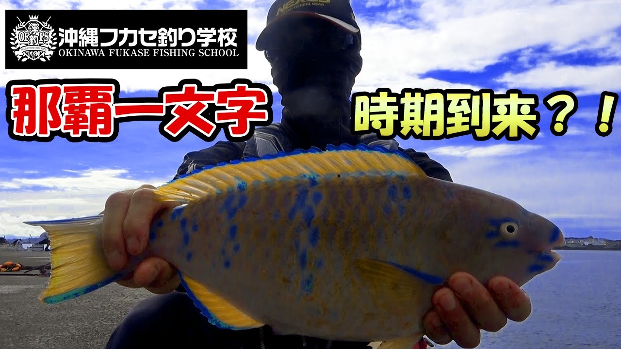 那覇一文字　新堤でのフカセ釣り！止まらないファーストラン！！