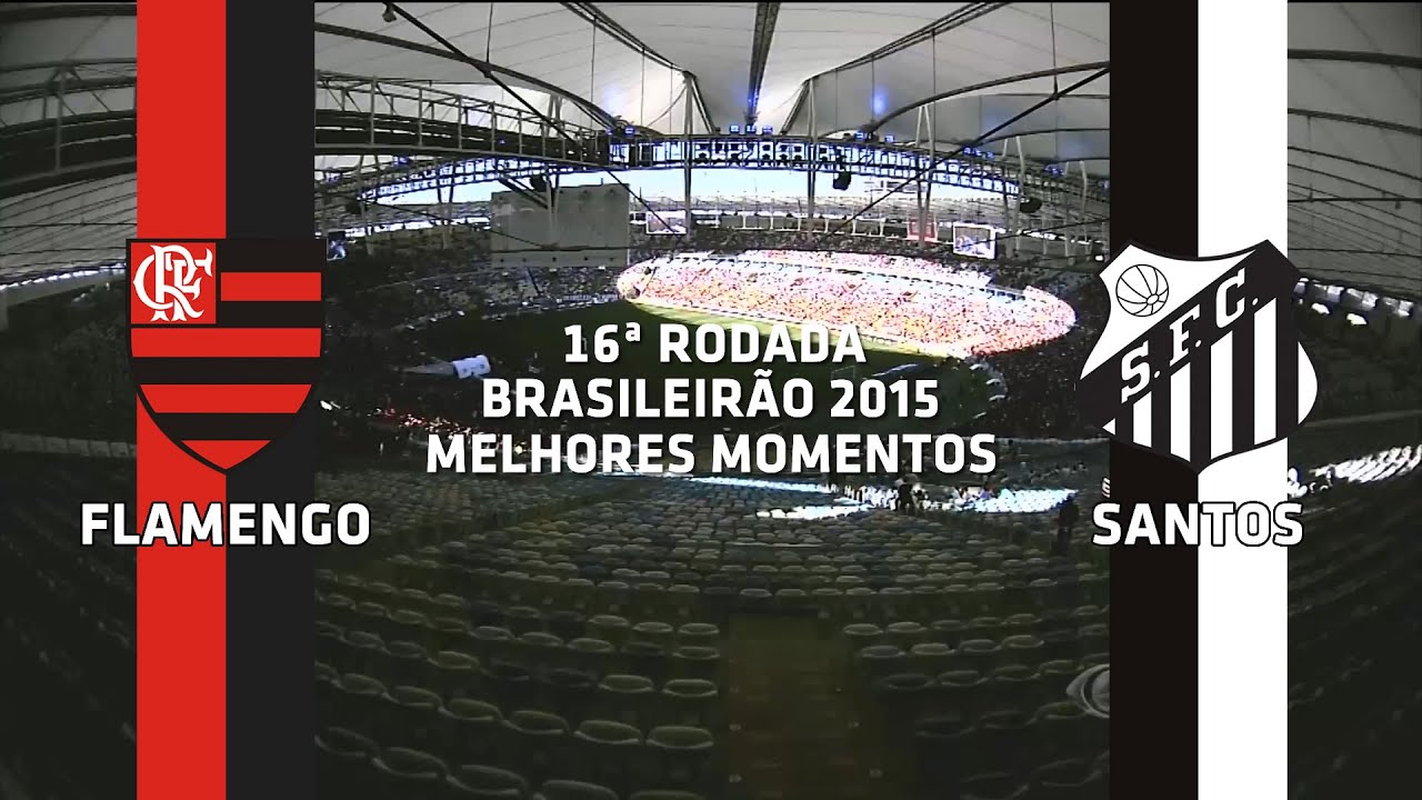 Melhores Momentos - Flamengo 2 x 2 Santos - Brasileirão - 02/08/2015
