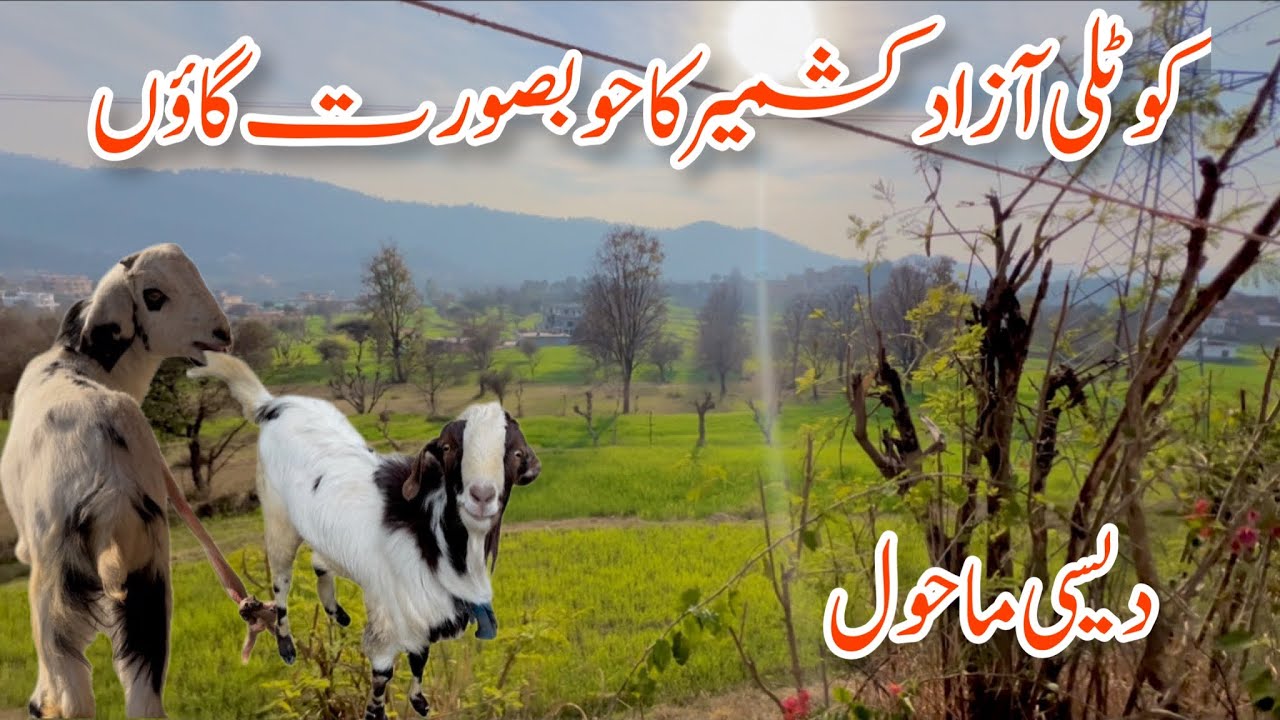 [ Kotli azad kashmir  beautiful village ][Desi environment 🇬🇧🥺full watch this video ahadmughal