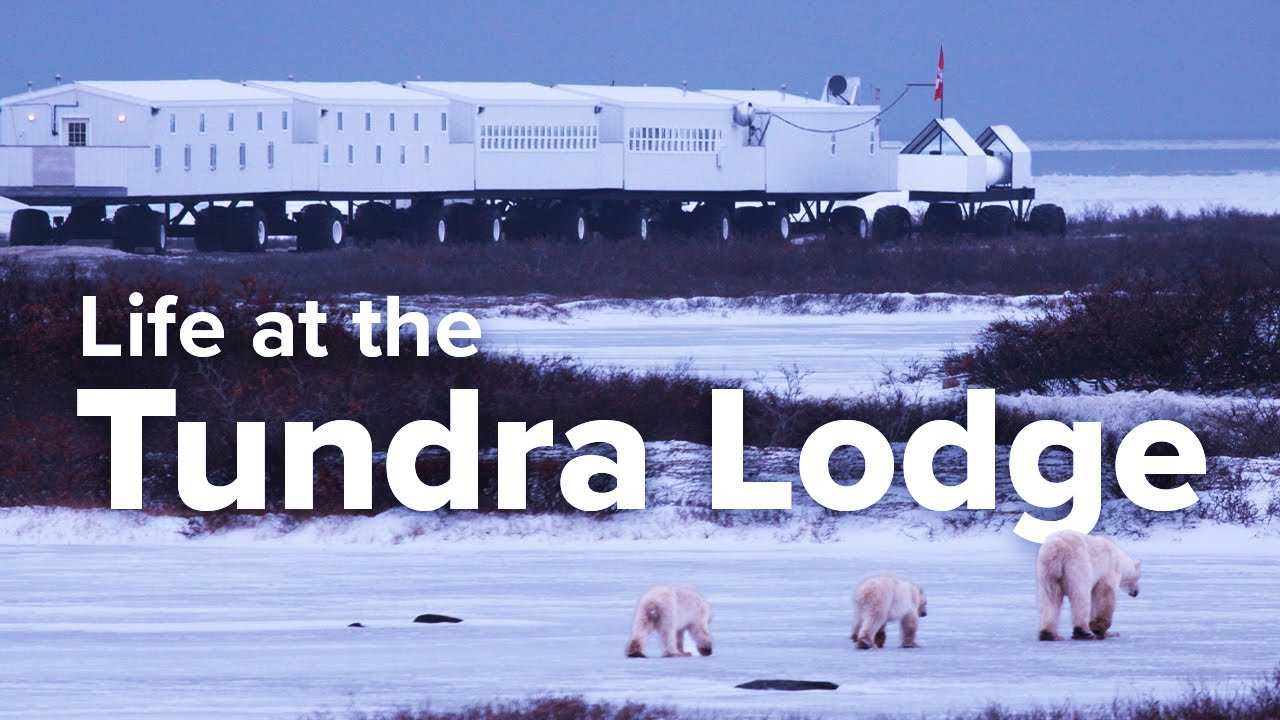 Почувствуйте жизнь в Tundra Lodge с Нэтом Хабом