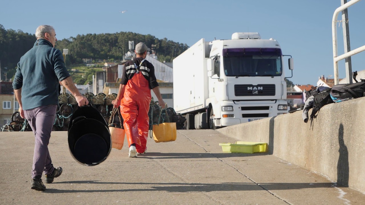 La nasa de pulpo en Bueu