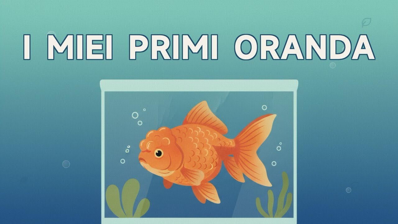 HO COMPRATO I MIEI PRIMI ORANDA 🐠 | Nuovi arrivi nella fishroom!
