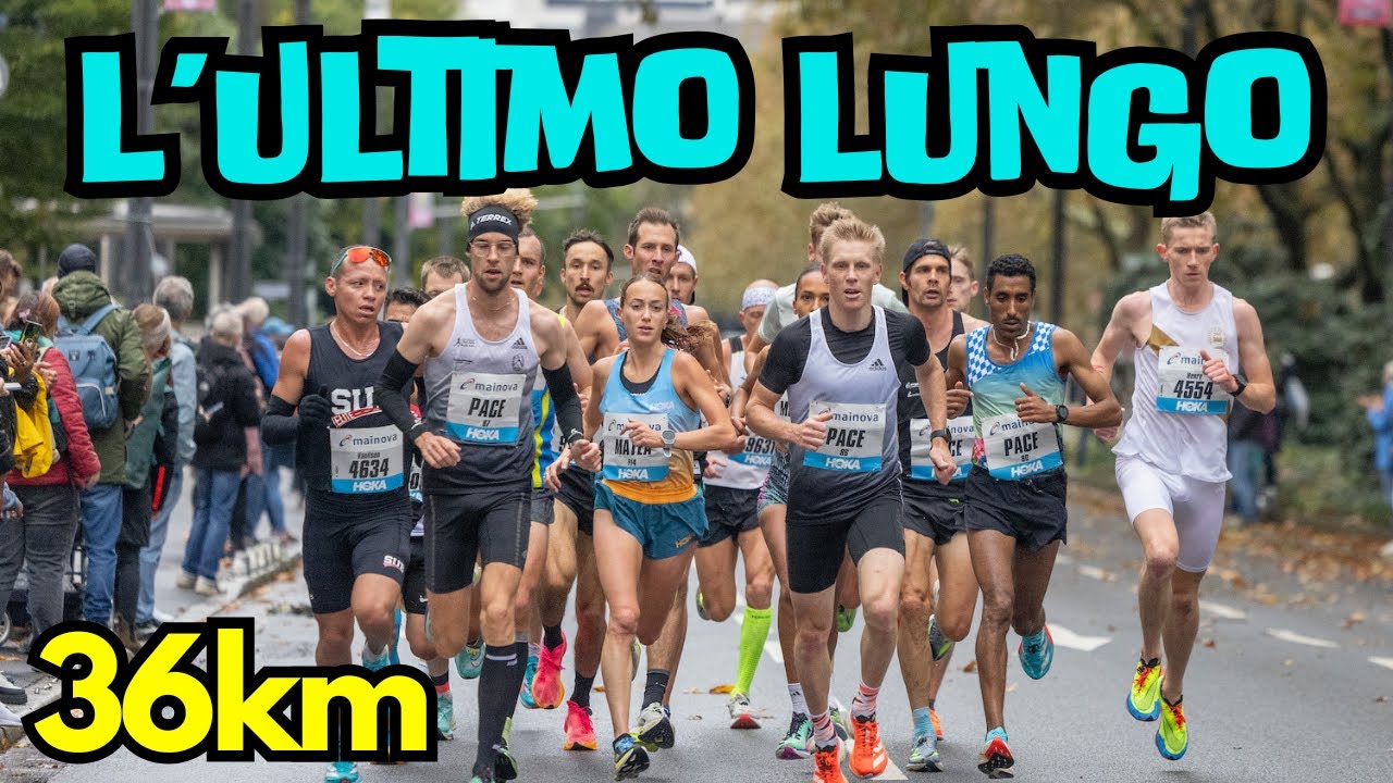 L'ULTIMO LUNGHISSIMO - L'allenamento più duro prima della maratona