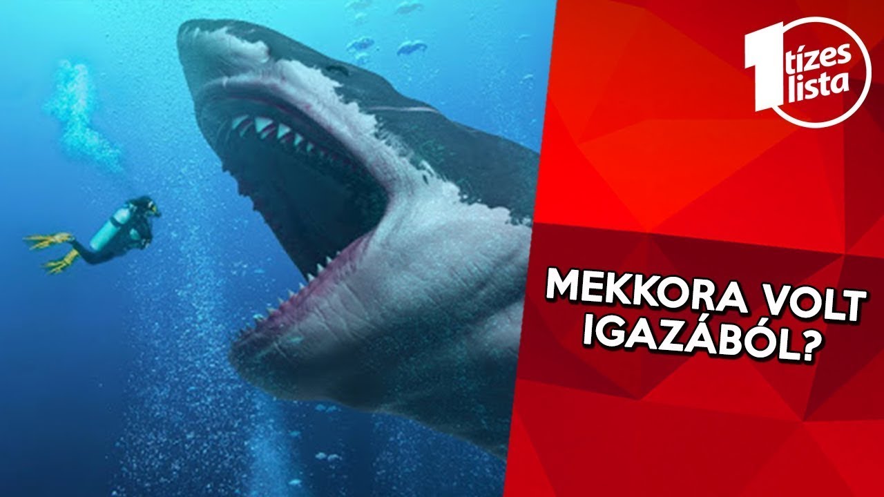 A valaha élt legnagyobb állatok