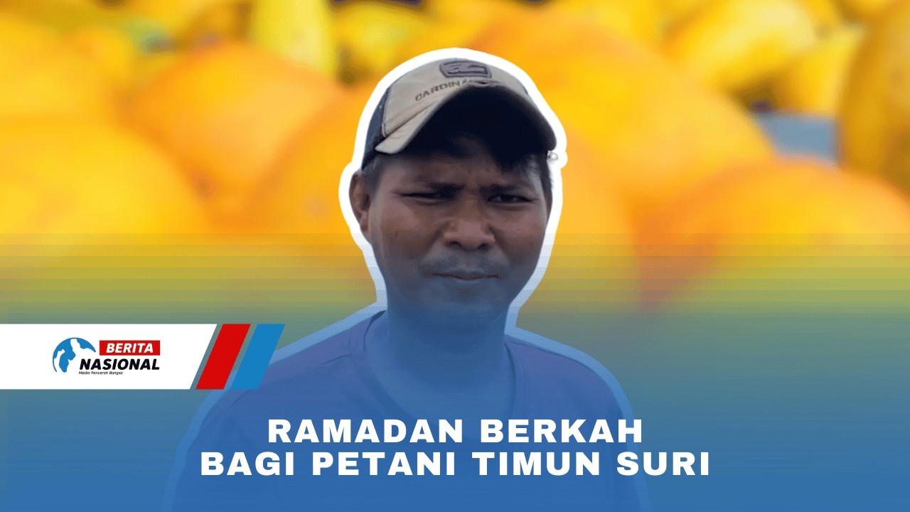 Ramadan Berkah Bagi Petani Timun Suri