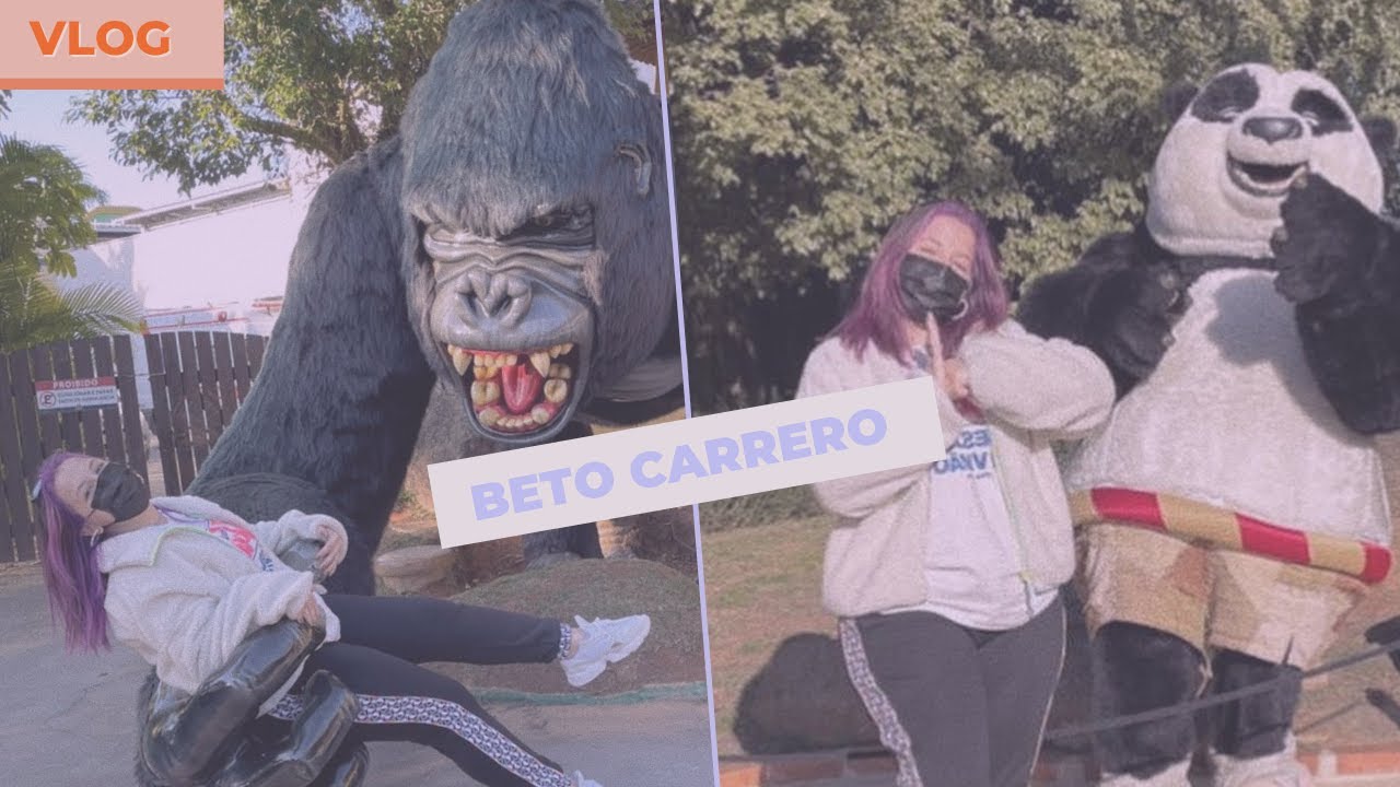 fui na montanha russa INVERTIDA// vlog parte 2 do beto carrero
