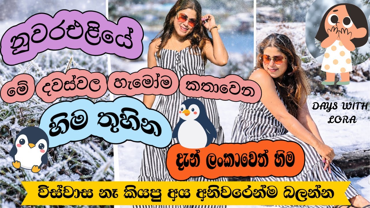 ඉක්මනින්ම නුවරඑළි ගියොත් හිම බලන්න පුලුවන්🥹❄️🥶❤️|ඇත්තටම හිම වැටුනාද😳🌿🪻 