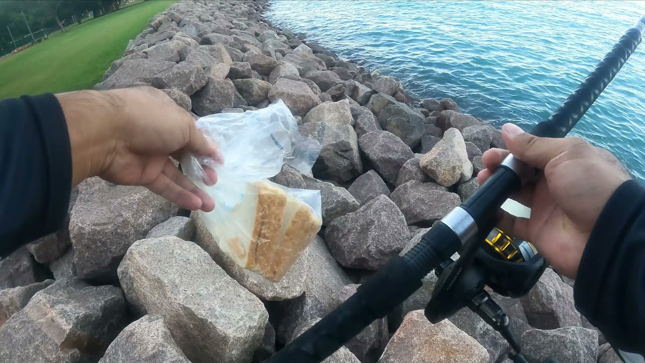 How To Catch Fish / Using Bread