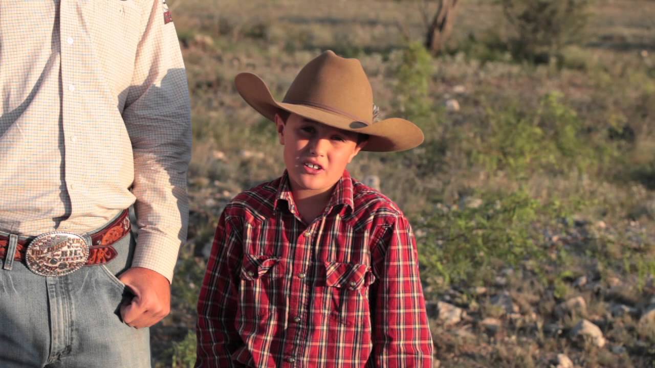 All Around Performance Horse - The Next Generation of Hosts