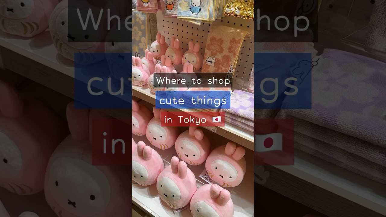 Where to shop cute things in Tokyo 🇯🇵 (Studio Ghibli, Miffy, & . . more!)