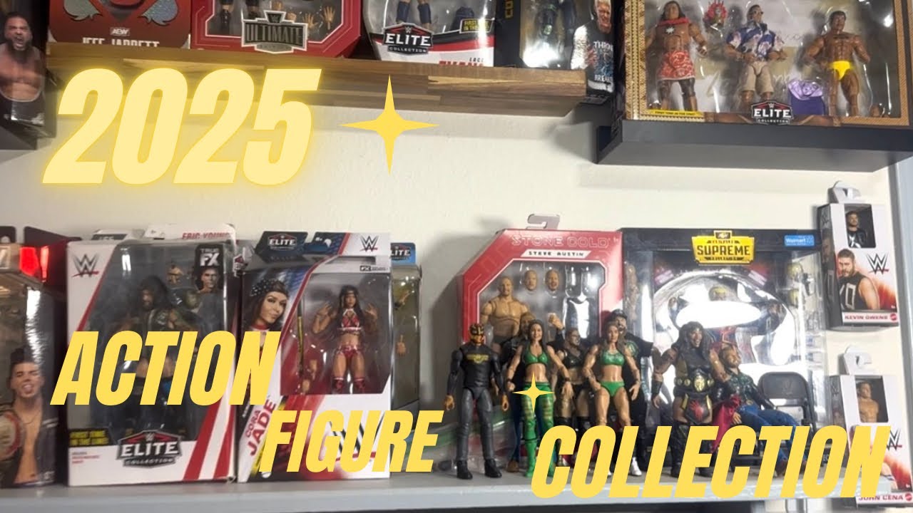 End Of 2025 Action Figure Collection 