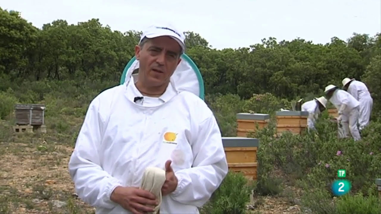 ecocolmena - Crowdfarming - Apadrina una Colmena &reg;