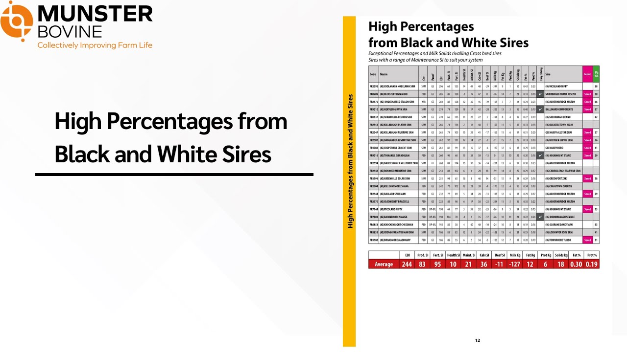 High Percentages from Black and White sires Panel - Spring Dairy Catalogue 2026
