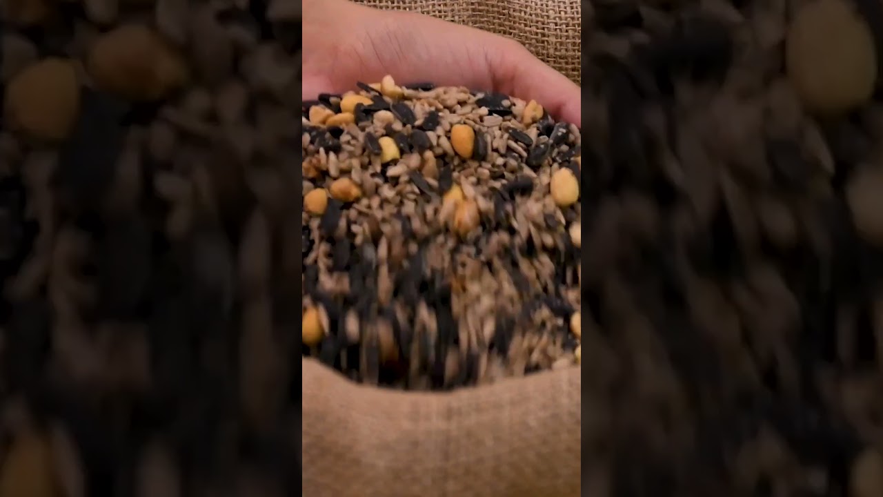 Fruit & Nut Mix | ForTheBirds.com | Fresh Bird Seed Online
