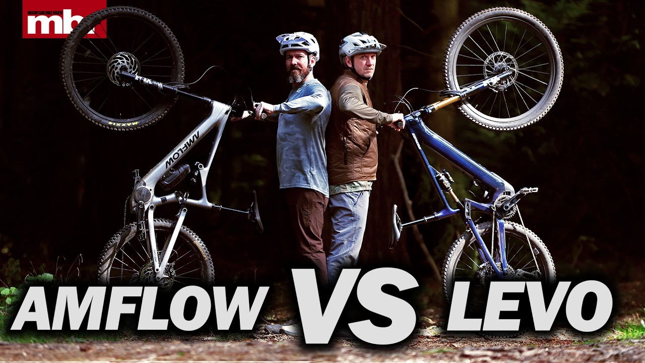 Specialized Turbo Levo 4-го поколения против Amflow PL Carbon с мотором DJI