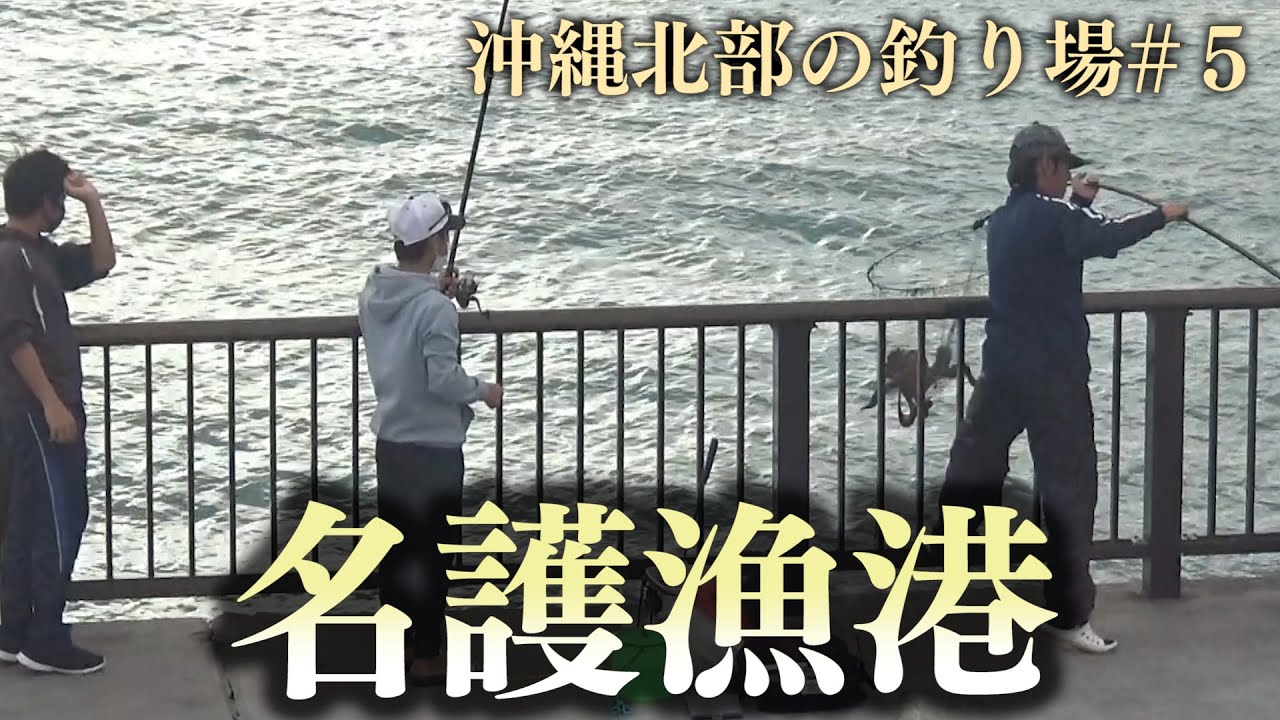 【沖縄】釣り場ポイント　名護漁港【沖縄北部の釣り場】