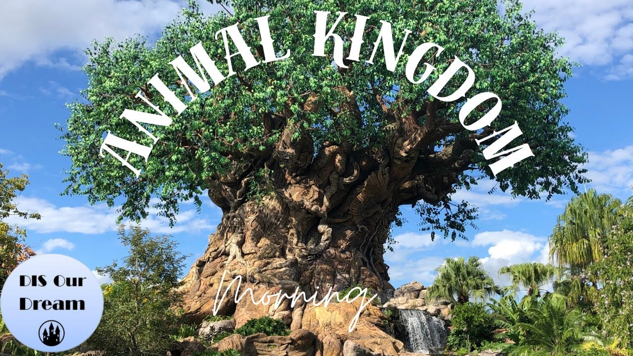 🔴LIVE: Disney&rsquo;s Animal Kingdom | Disney World Livestream | 3/22/2026