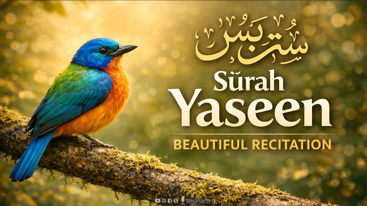 Surah Yaseen سُورَةُ يٰسٓ (Yasin) -Beautiful Voice || Zain Abu || Arabic & Roman English