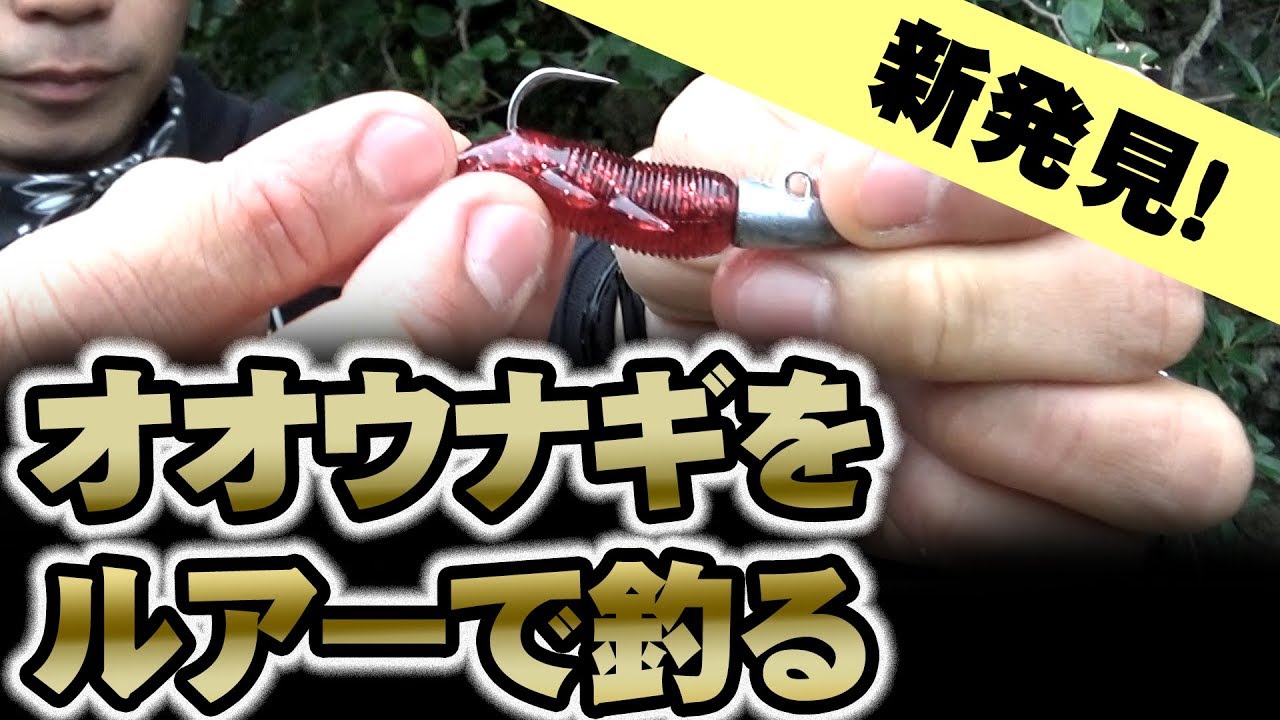 巨大ウナギをルアーで釣り上げる！