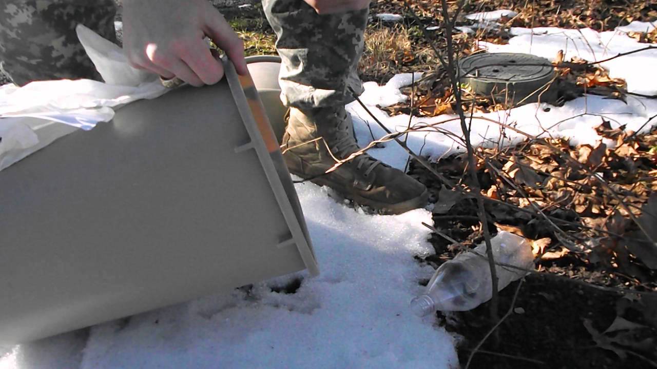 Hawk snatches released mouse