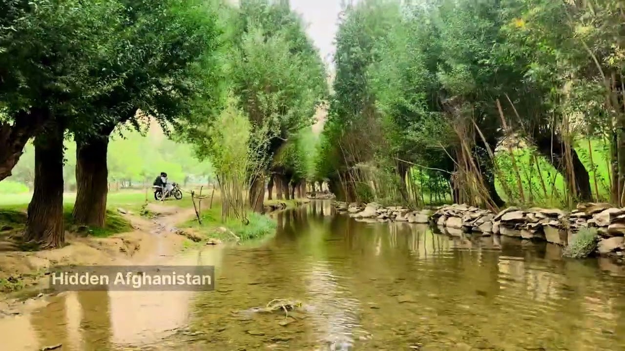 ماجراجویی در جوند طبیعت بکر، آشپزی محلی و آبشارExploring Jund | Nature, Picnic &Cooking by Waterfall