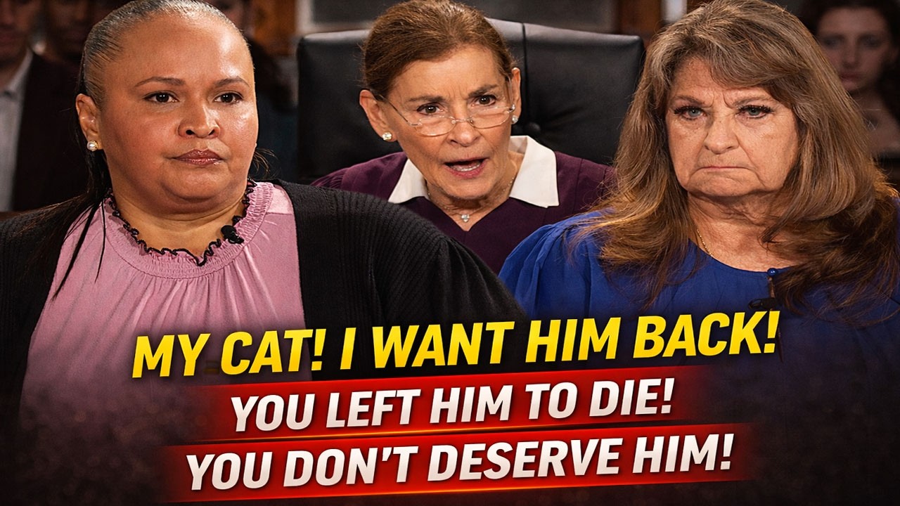 Evicted Owner Dumps Cat Sues Neighbor Who Saved It