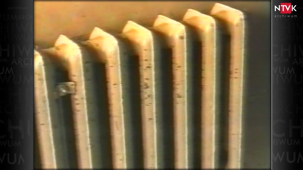 Nowy Targ 1995, Miasto i jego estetyka