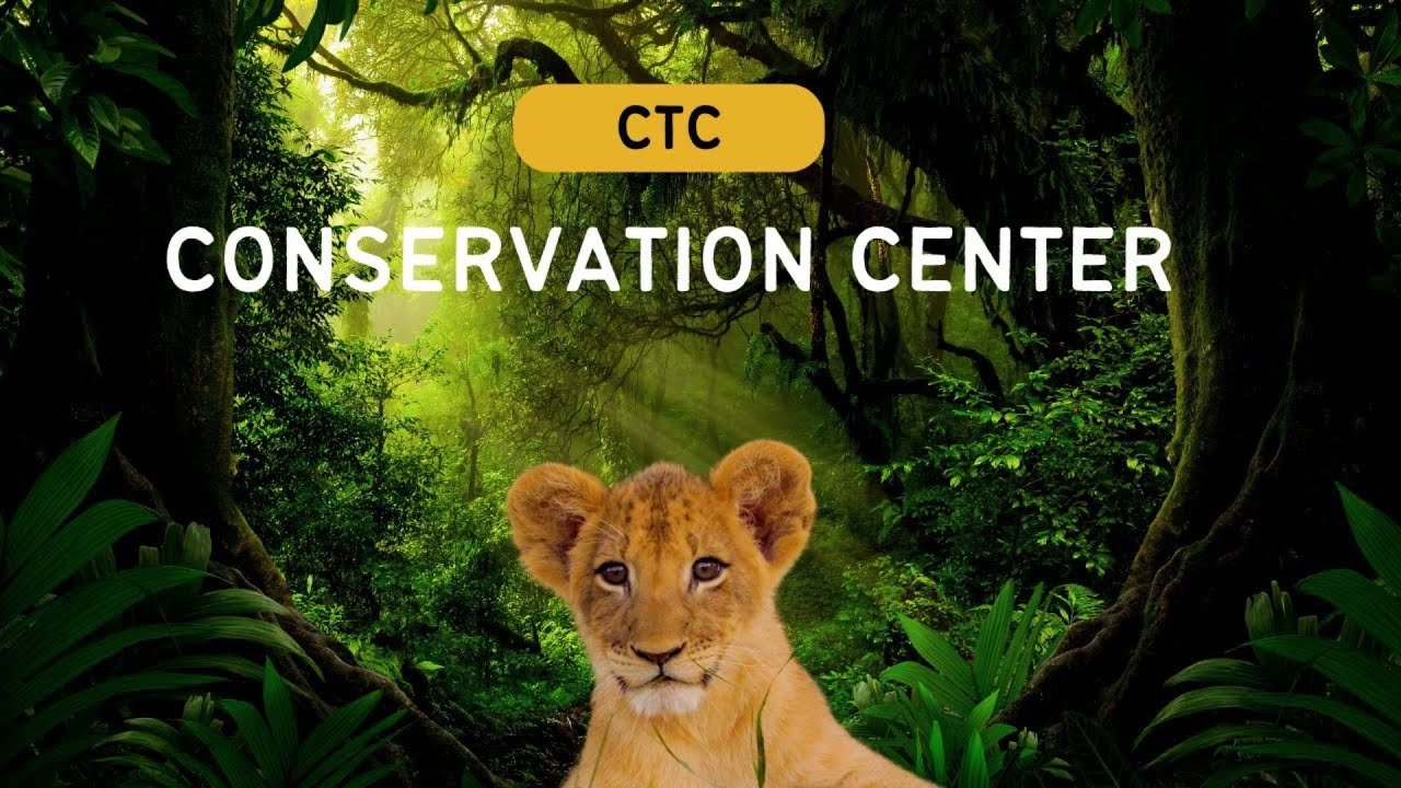 I Never EXPECTED This LION Encounter | CTC Conservation Center