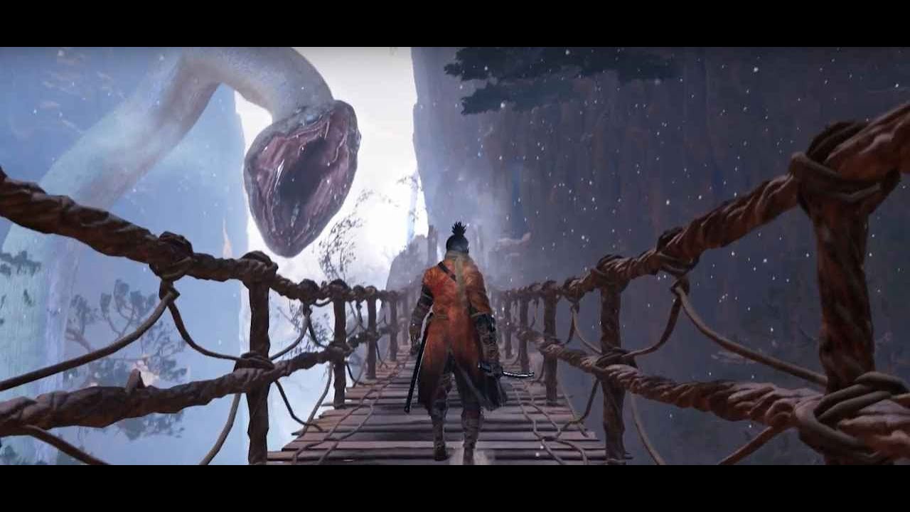 Sekiro (Shura) - No Hit Run