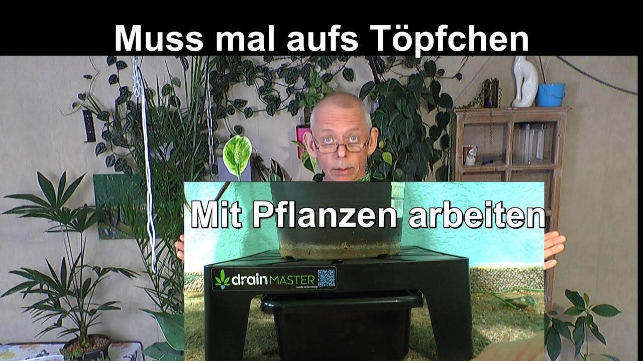 Drain Master was ist das? Arbeiten mit Pflanzen und neues Produkt vorstellen