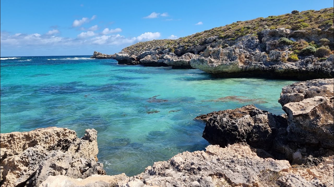 Day trip to Rottnest Island from Perth. #tour  #rottnestisland #holiday #thingstodo #visitperth