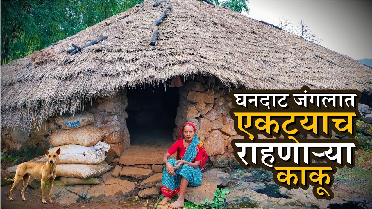 एवढ्या घनदाट 🌲 जंगलात आजही गवताच्या 🛖 घरात एकट्याच राहणाऱ्या काकु | Village Life | Paayvata