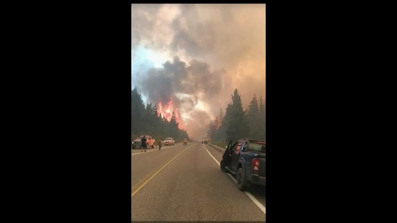 PAULA SANDES, 2 INFORME INCENDIOS FORESTALES.Arde la Patagonia Argentina.Continúa la angustia
